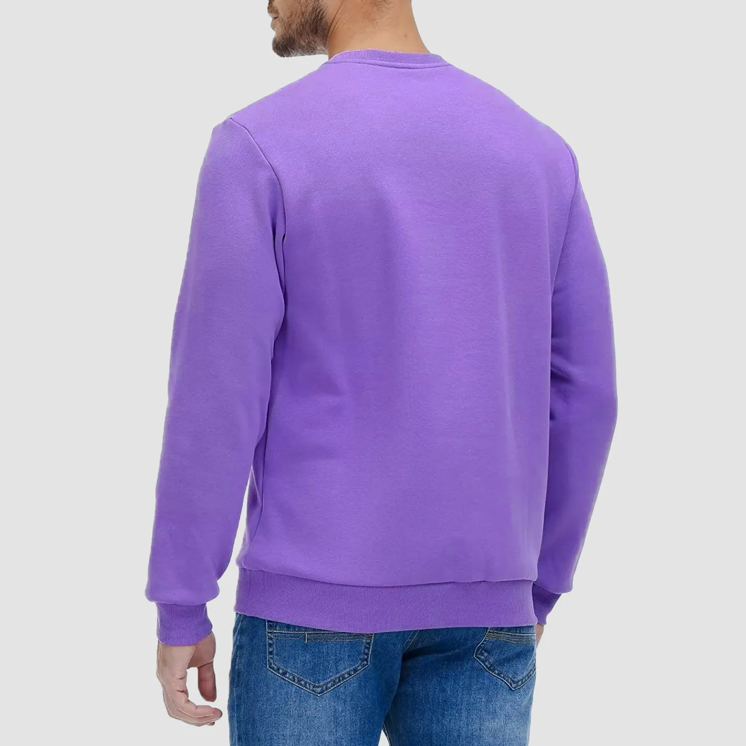 Men's Crewneck Pullover Lilac Sweatshirt Long Sleeve Warm Fleece